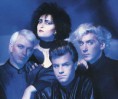 /album/fotogaleria-inicio/siouxsie-jpg/